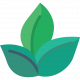 Eco Friendly Laundry Services